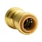 Quickfitting 1/2in Push-to-Connect x 1/2in Push-to-Connect Brass Polybutylene Transition Coupling Fitting LF811PBYR - alternate 2
